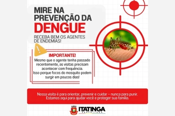 Combate à Dengue: Faça a Sua Parte!