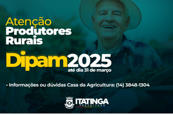 DECLARAÇÃO DA DIPAM-A 2025 