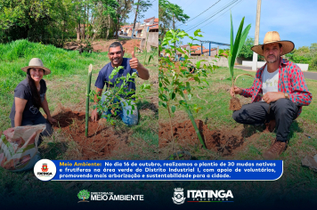 Plantando o Futuro: Itatinga Mais Verde e Sustentável 