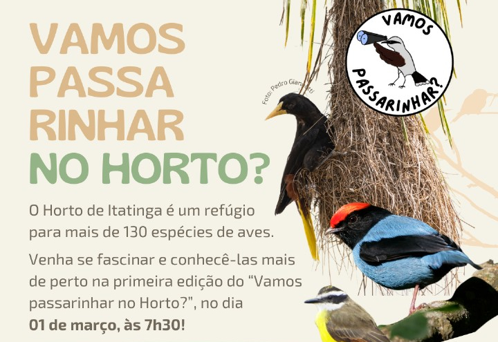1ª edição do