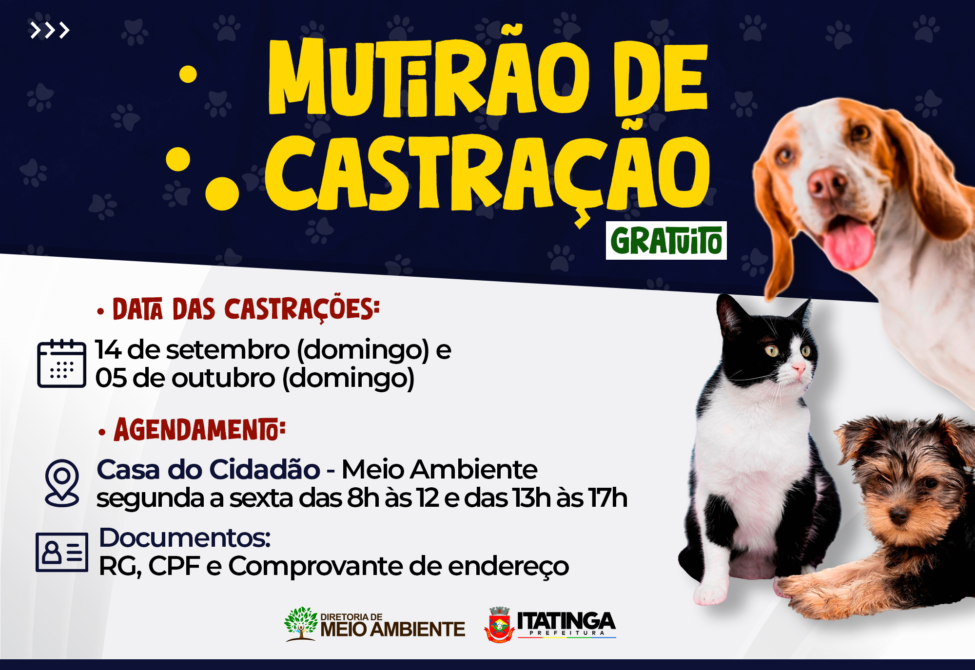 MUTIRÃO GRATUITO DE CASTRAÇÃO DE CÃES E GATOS
