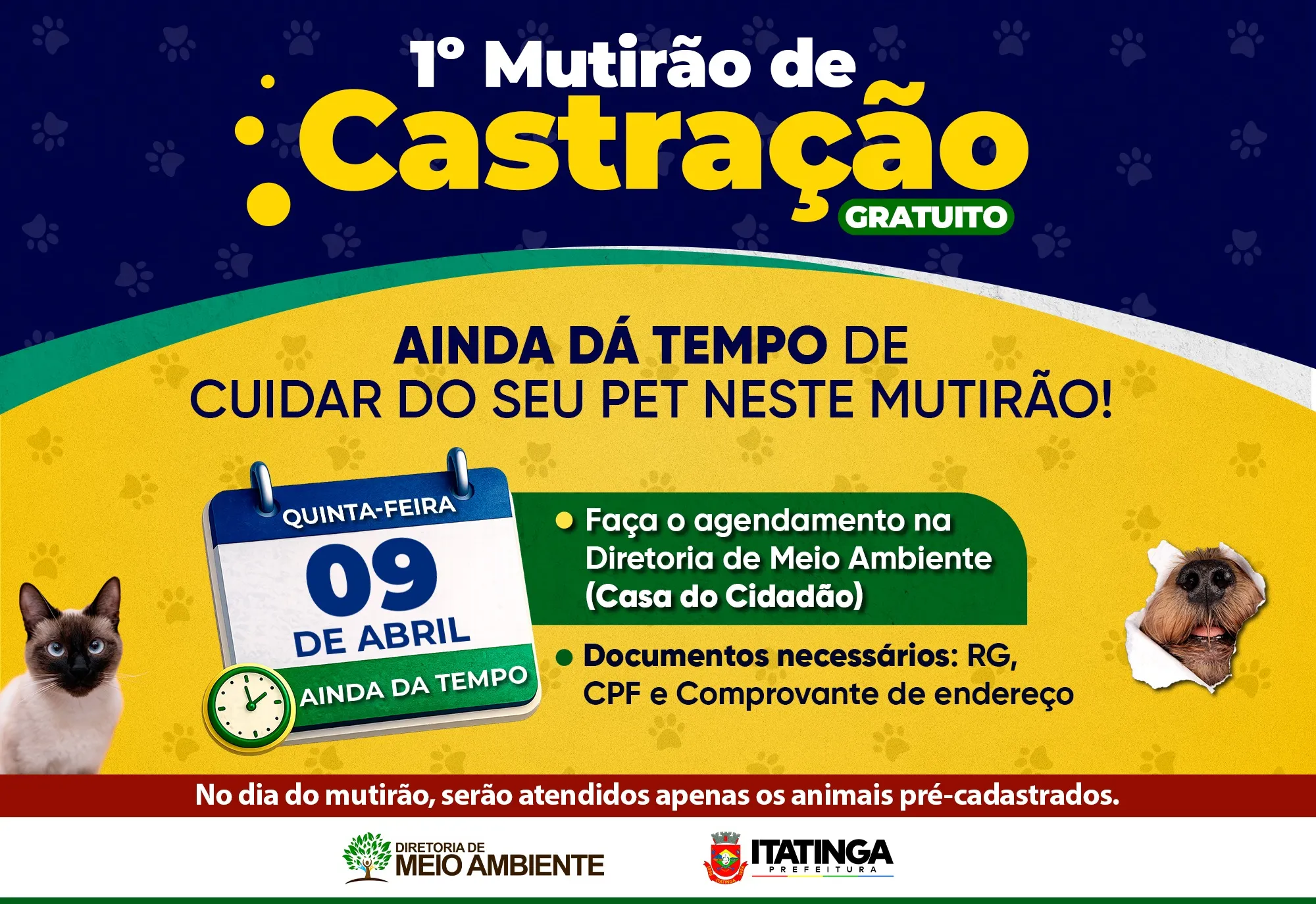 1º Mutirão de Castração Gratuito