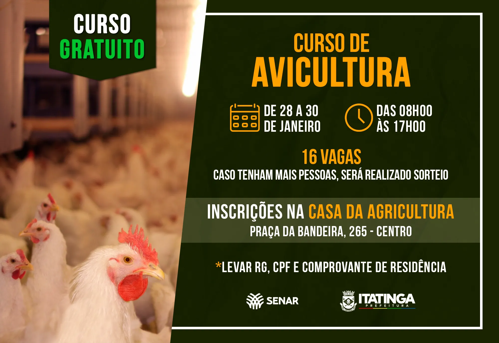 Curso de Avicultura Básica